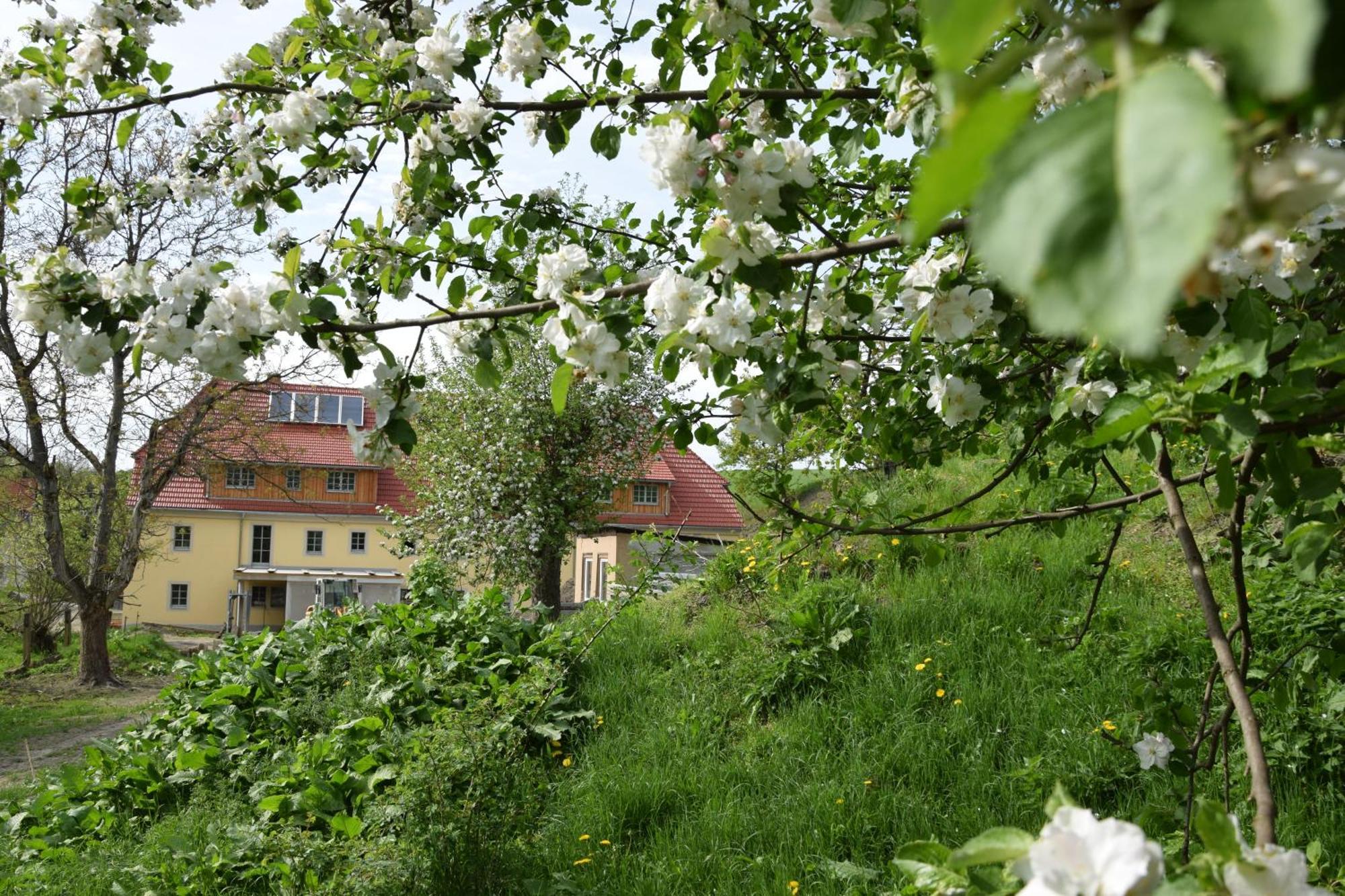 Апартаменты Adlerhof Bahretal Экстерьер фото